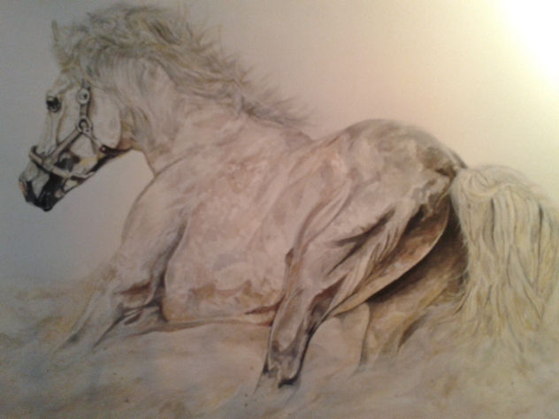caballo