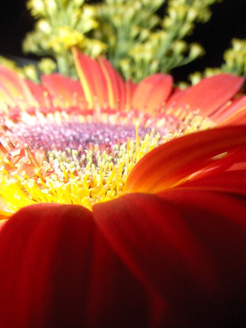 naturaleza