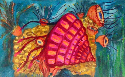 Caracola