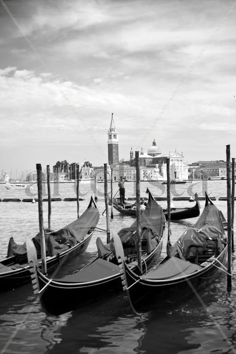 Venecia