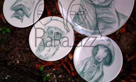 Animalia*