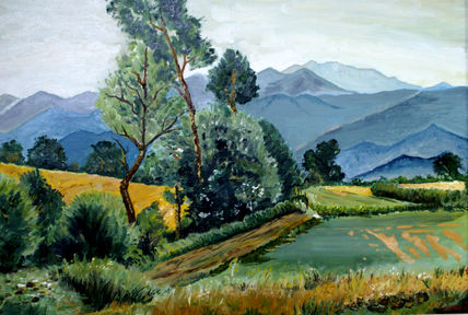 Montes de toledo