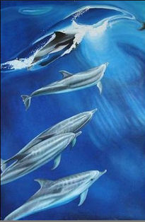 Baile de delfines