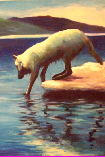 lobo ártico Oil Canvas Animals