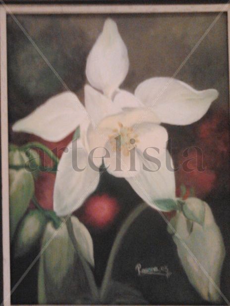 Campanilla