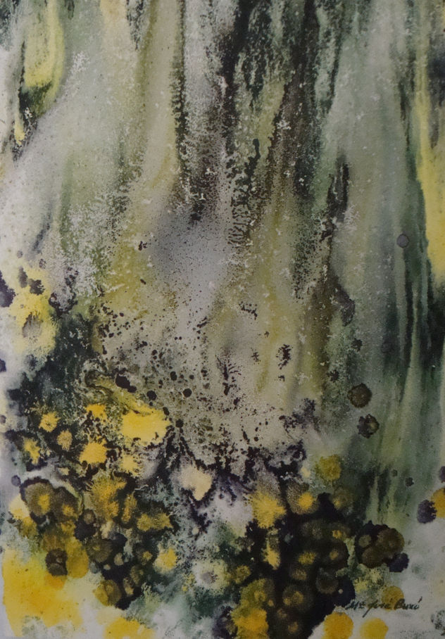 Fondo marino
