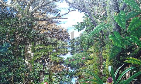 amazonia