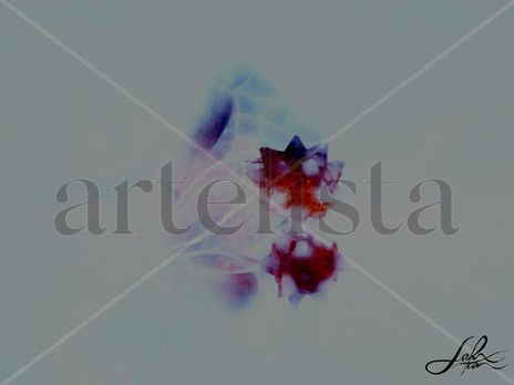 Star ball