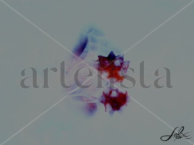 Star ball