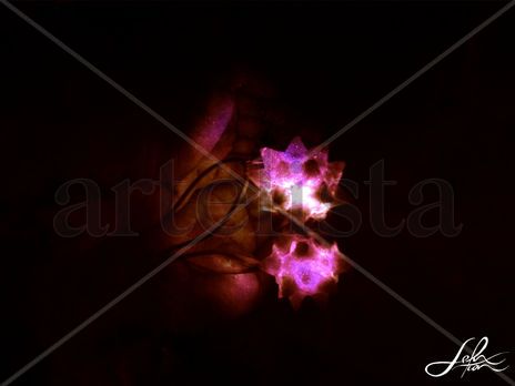 Purple star ball