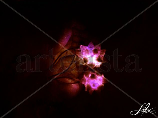 Purple star ball