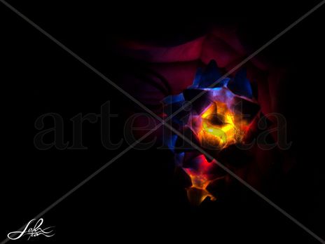 Star hands