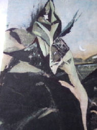 Misterio astral