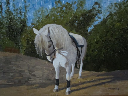 Caballo andaluz