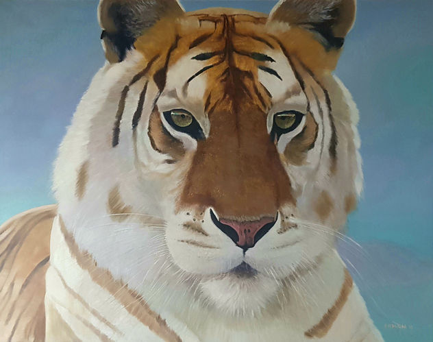 TIGRE DORADO