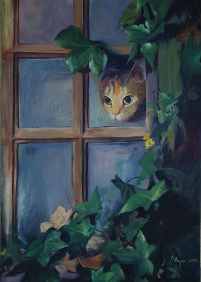 mirando por la ventana Oil Canvas Animals