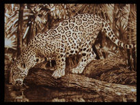 Leopardo