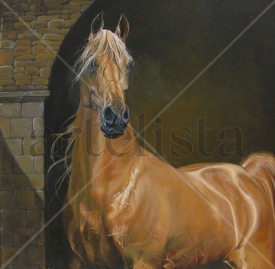 caballo árabe Oil Canvas Animals