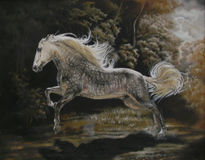 Caballo andaluz