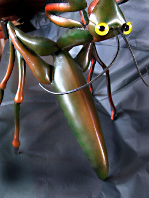 mantis