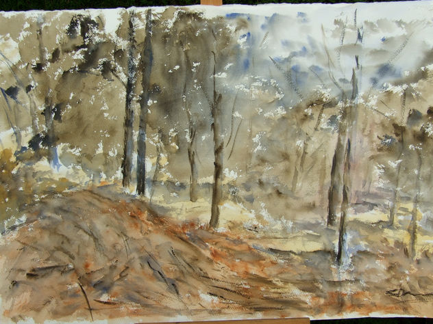 bosque del sur