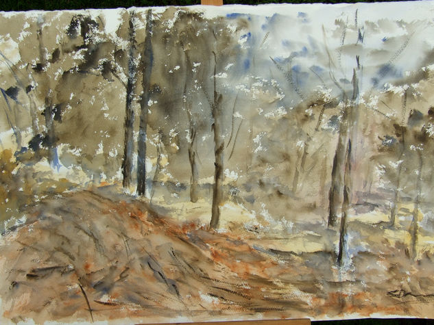 bosque del sur Watercolour Paper Landscaping