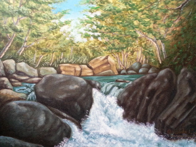 POZO EL BEJUCO, SAN GIL Oil Canvas Landscaping