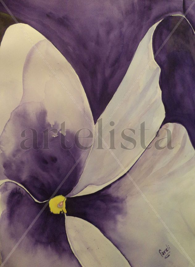 Violeta