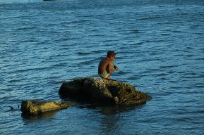 pequeno pescador 