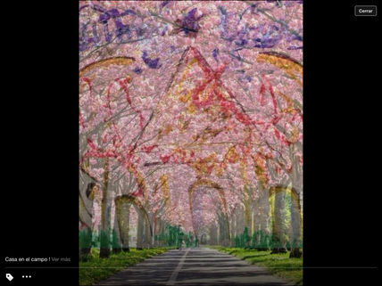Paisaje rosa 1