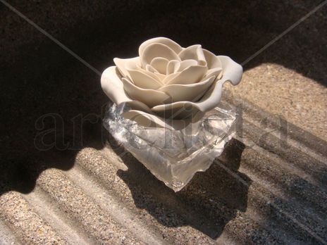 Rosa Blanca