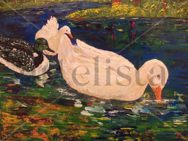 Ducks in the morning