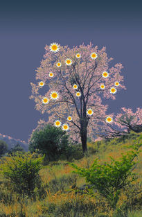 Árbol de Girasoles