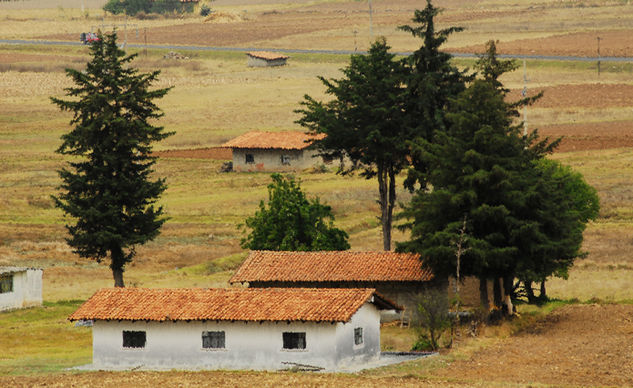 Paisaje desde la carretera Travel Color (Digital)