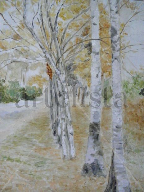 Bosques de abedules