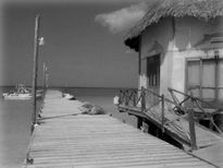 Puerto Holbox