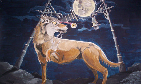 Animales
