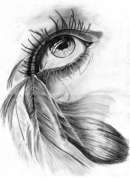 The eye