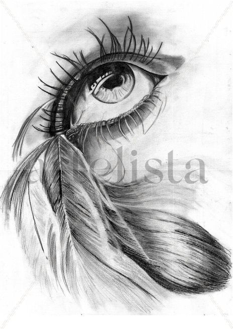 The eye