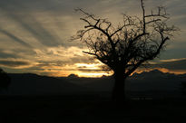 Amanecer en invierno