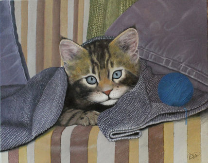 Gatito