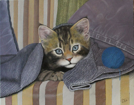 Gatito