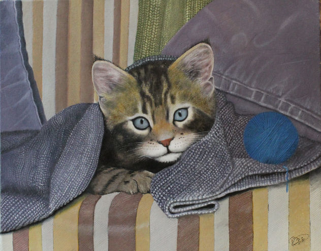 gatito
