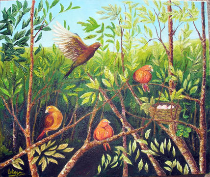 Paraíso de pájaros...