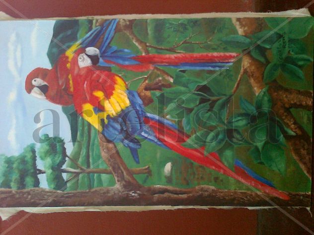 Guacamayas