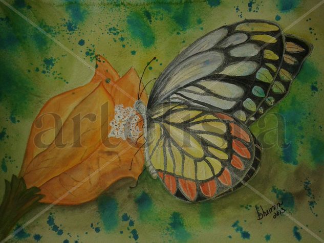 Mariposa 10 Media Mixta Papel Animales