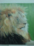 El viejo leon