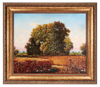 Field of ripe wheat