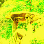 PAISAJES SUIGENERIS Y OTRAS CASUALIDADES. thumbnail 1