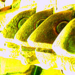 FRACTALIDAD 1 thumbnail 1